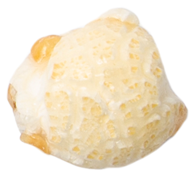 Salty Caramel Corn 1 OZ Single-Serve Bag